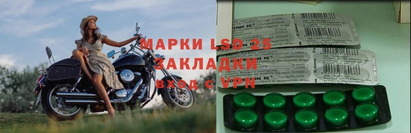 индика Вязники