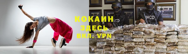 соль ск Вяземский