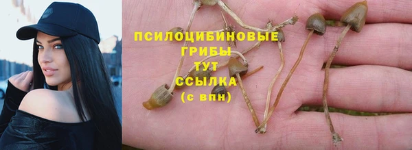индика Вязники