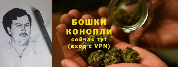 соль ск Вяземский