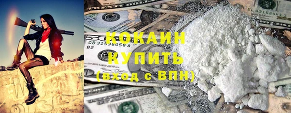 индика Вязники