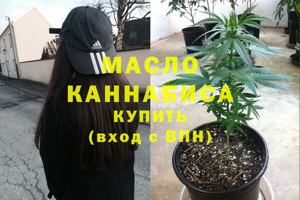 индика Вязники