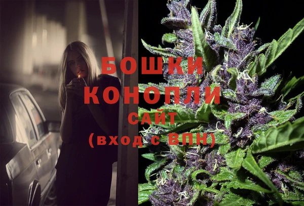 соль ск Вяземский