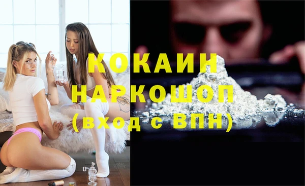 индика Вязники