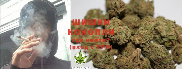 соль ск Вяземский