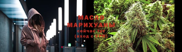 индика Вязники