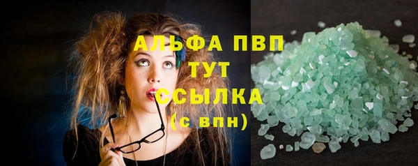 индика Вязники