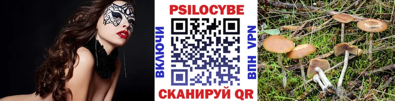 дарнет шоп  Хасавюрт  Галлюциногенные грибы прущие грибы 