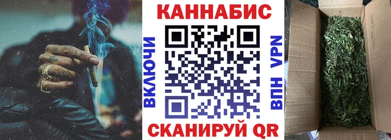 МАРИХУАНА план  как найти наркотики  Хасавюрт 